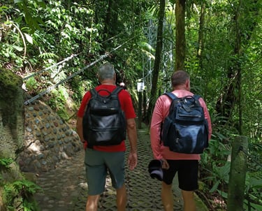 two people walking up a path in the woods in monte verde
