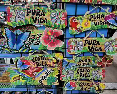 a display of colorful signs and signs for sale