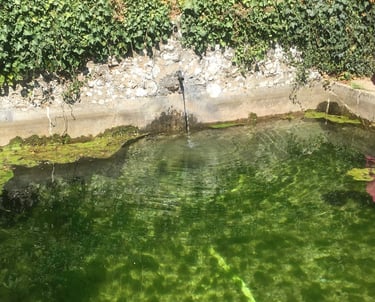 fontaine avec eau qui coule