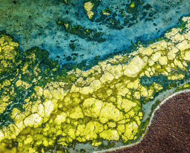 rivière jaune et bleue, lien vers coaching de transition