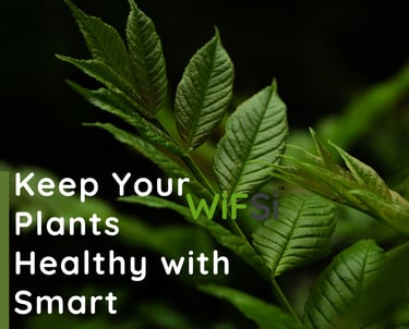 auto watering device