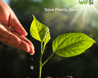 save plants, save water