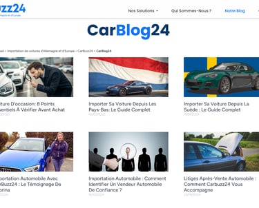 Grimal Freelance - Portfolio - Carbuzz24