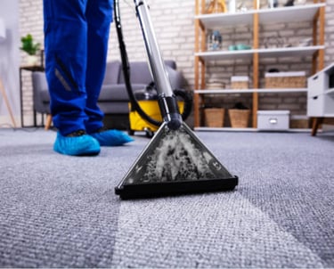 Professional hot-water extraction on the carpet