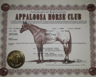 ApHC registration papers