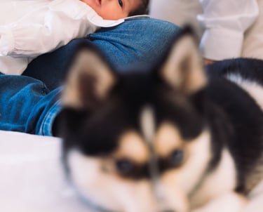 Photographe famille Paris 16 : bébé et papa avec leur chien au salon