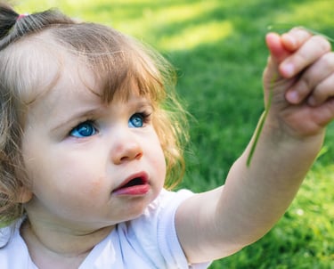 Photographe famille : fillette avec une brindille dans un parc