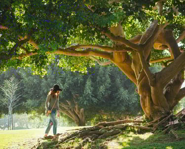 Brava Braun in a hat and jeans calmly walking under a tree