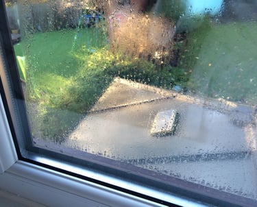 misted sealed unit in window