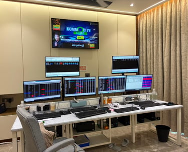 Singularity-India-LUMI-Monitor-Arms