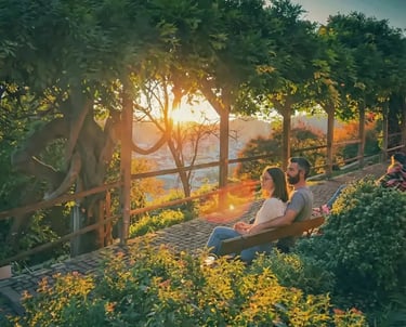 Beautiful sunbeams shining through trees in a lush park on Schlossberg hill in Graz.