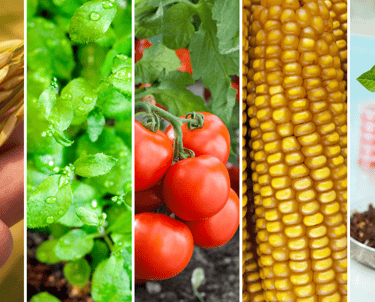 Biotecnologia agritech colombia
