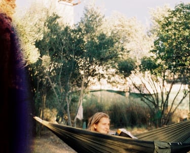 Birdy swining in an hamock - photo by Birdy