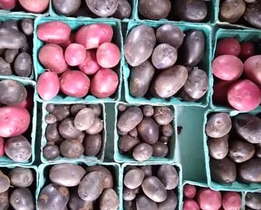 red and purple potatoes in pint and quart boxes