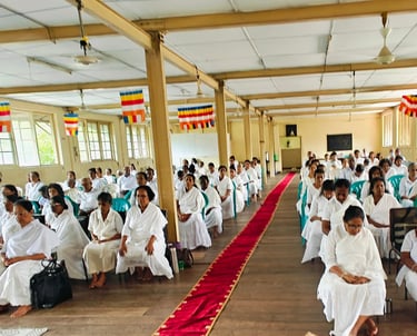 YMBA Colombo Borella