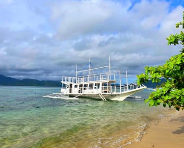 Boat 3D2N Linapacan Island Tour