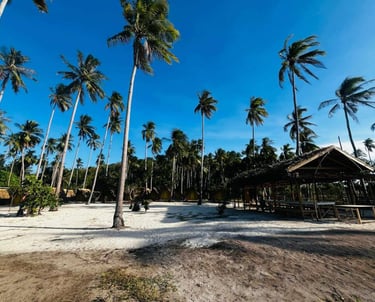 3D2N hut accommodation Linapacan private island