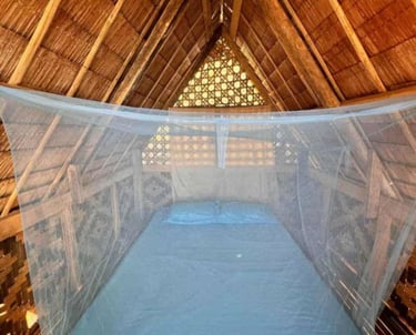 3D2N hut accommodation Linapacan private island