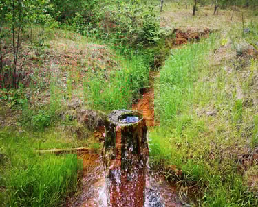 "Hidrogeologas" vandens gręžiniai, gręžinys, fontanuojantis gręžinys, likviduojamas gręžinys