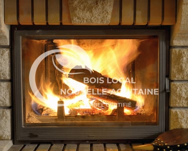 un insert de cheminée allumé