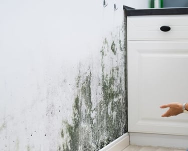 Protocollo Casa Sana e Salubrità Abitativa Edil leonardo