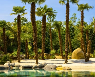 Piscina naturale su misura per spazio esterno di lusso