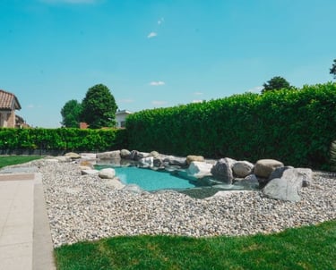 Giardino valorizzato con piscina scenografica e illuminazione esterna