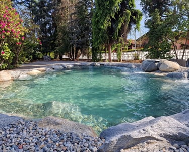 piscina naturale modello laghetto con cascata