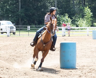 a woman riding a horse in a fenced in area