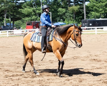 a woman riding a horse in an arena
