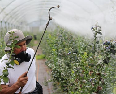 Agriculture