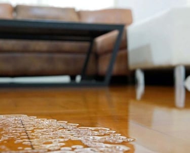 Daño de humedad a los muebles y otros materiales