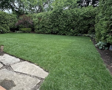 Fresh sod installation completed by Grassco Landscaping in Burlington Ontario