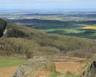Hypnotherapy Middlesbrough 