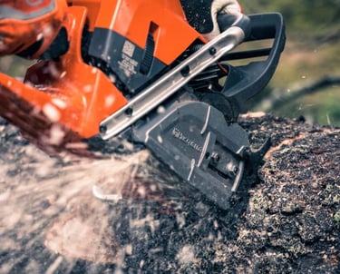 burnham tree services stump removal