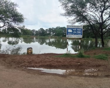 pond