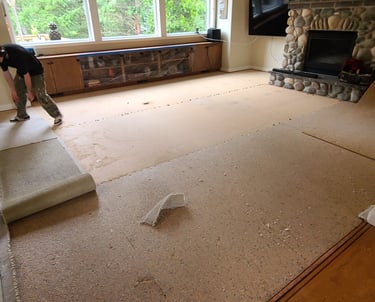 carpet and particle board demo removal