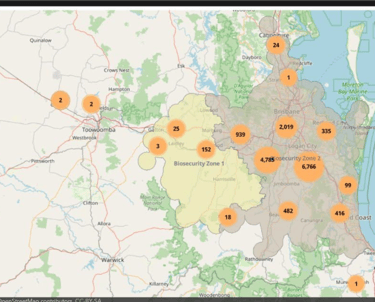 Map of current infestations 2024