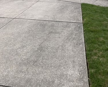 Cleaning black algae stains on concrete driveway in Orland Park