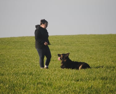 Hannah Founder of Willowland K9 and Bruce the German Shepherd