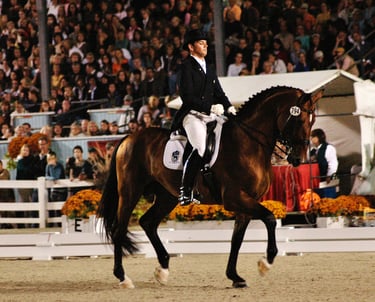 Rick Silvia with HRH Fantasma Grand Prix - Dressage at Devon