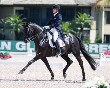 Rick Silvia with famed breeding stallion, Rubinero