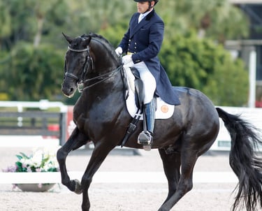 Rick Silvia with Rubinero - Global Dressage Festival 2015