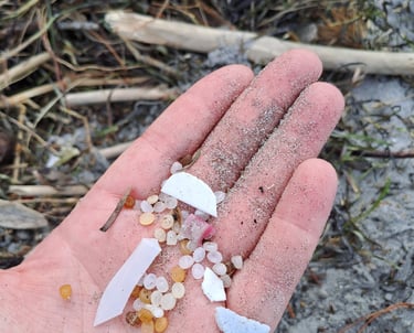 Sandy hand holding plastic nurdles and broken pieces of plastic collected on a beach. Background shows debris at high tide