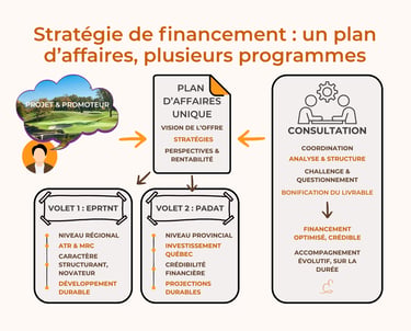 Schéma analyse intervention consultant pour la rédaction du plan d'affaires 