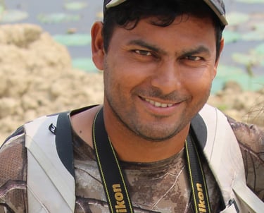 Daman, Guide Adventure Safari & Trek in Bardiya National Park