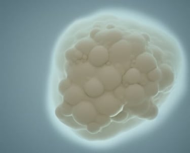 Biostimulant saccharomyces cerevisiae