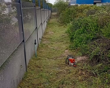 a red and white fire hydrant sitting in the grass
