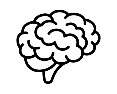 a brain 