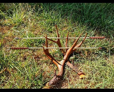 arrows
